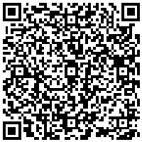 QR Code for CUSTOM 3ply Napkins, Lightning Bug, Custom Design, Cartoon Firefly